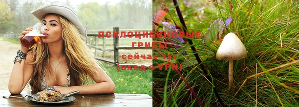 трава Балабаново