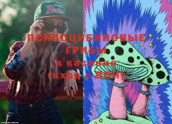 прущая мука Армянск