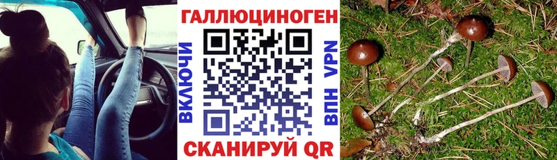 даркнет сайт  Полярные Зори  Псилоцибиновые грибы прущие грибы 
